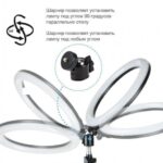 Кільцева LED лампа YQ-320B (30см) з утримувачем телефону для бьюті селфі зйомки Ring Light — фото 4