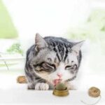 Котячі ласощі кріпляться до поверхні