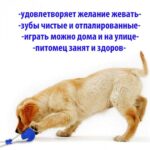 Багатофункціональна іграшка для собак канат на присоску з м'ячем — фото 6
