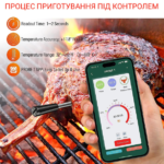Термощуп без дротів для кухні та пікніка